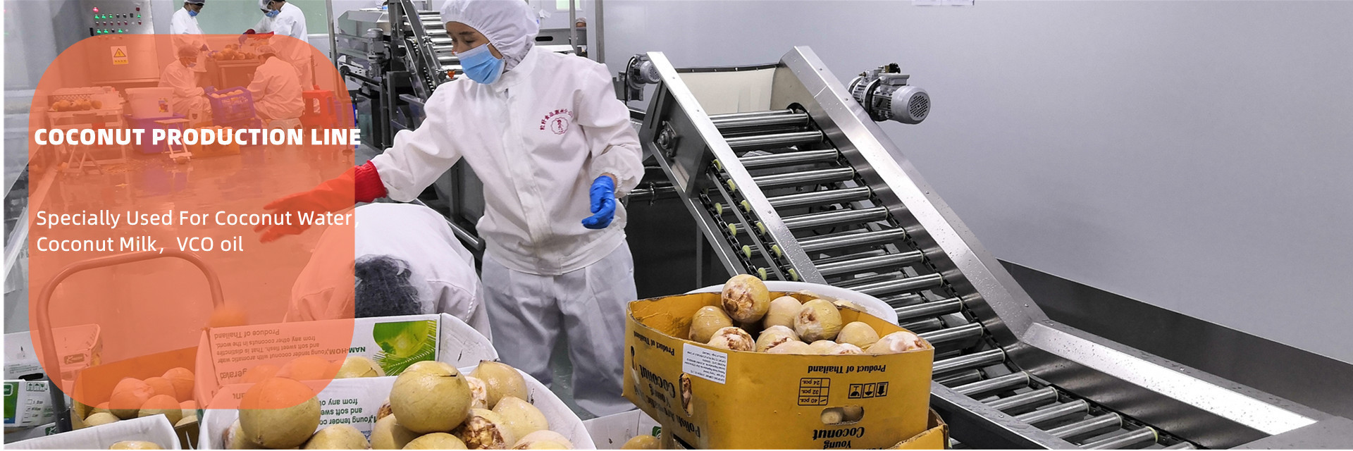 품질 토마토 페이스트 생산 라인 공장