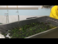 어떻게 HPP 또는 냉각 아보카도 펄프를 처리합니까?