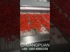 바닷나무 주스를 어떻게 만드는지 아세요? 함께 보자