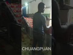 아프리카의 중형 토마토 페이스트 생산 라인을 보러 가자